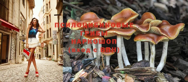 дживик Михайловск