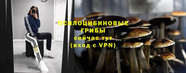 МДПВ Медвежьегорск