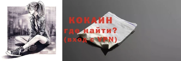 дживик Михайловск