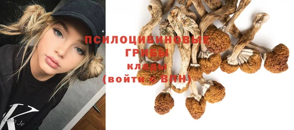 скорость Аша