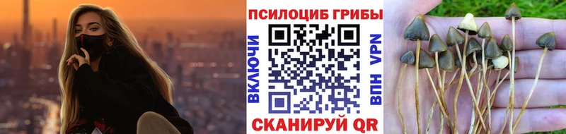 Псилоцибиновые грибы Cubensis Нариманов